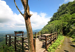 金光山厚德．紫竹寺-園區景觀